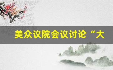 美众议院会议讨论“大而美”法案