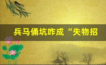 兵马俑坑咋成“失物招领处”了 游客物品频掉落