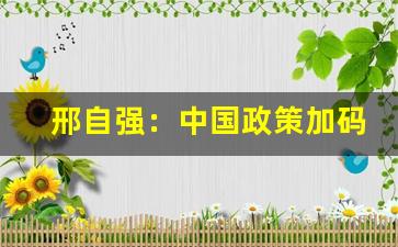 邢自强：中国政策加码大约在秋季，美国未来2年将降息175个