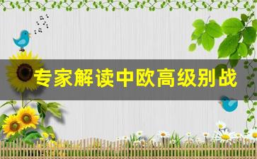 专家解读中欧高级别战略对话 共促合作与稳定(第十轮中欧高