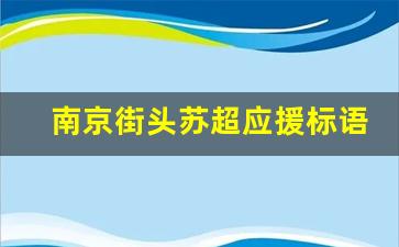 南京街头苏超应援标语梗含量超标 省会保卫战打响(苏超是哪