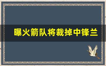 曝火箭队将裁掉中锋兰代尔 多队有意签下(火箭队兰德尔)