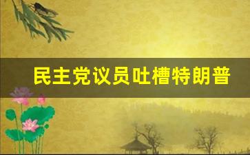 民主党议员吐槽特朗普法案又大又丑 争议法案引发抗议浪潮(