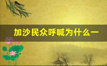 加沙民众呼喊为什么一袋面粉要用命来换 冒着危险却空手而